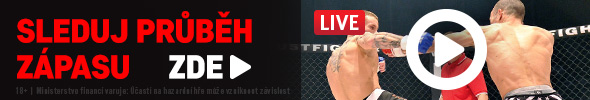 Sledujte UFC 300 s Procházkou ZDE